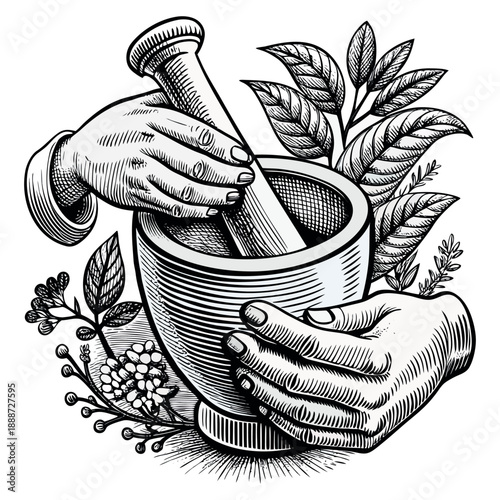 Vintage Hand Engraved Illustration of Mortar and Pestle with Medicinal Herbs