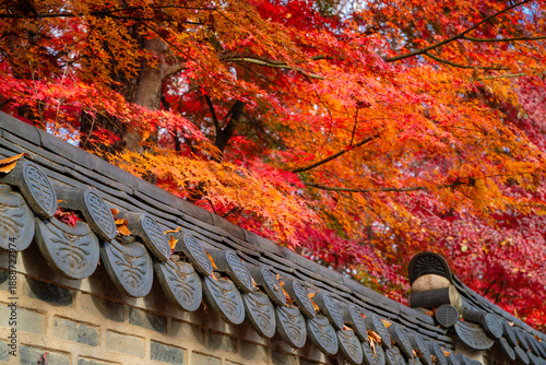 autumn leaves on the fence