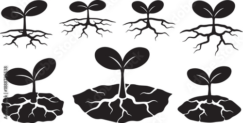 Set of black silhouettes of young plants growing slowly