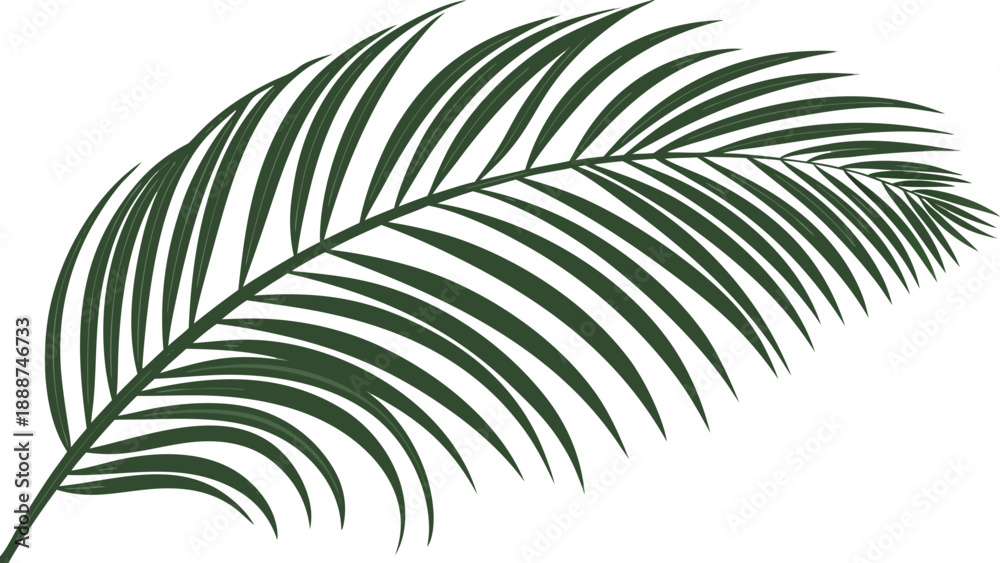 Fototapeta premium Elegant Palm Leaf Illustration Tropical Foliage Design Element.