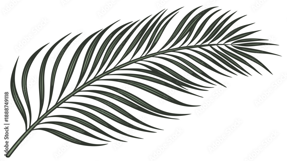 Fototapeta premium Elegant Palm Leaf Illustration A Detailed Botanical Design.