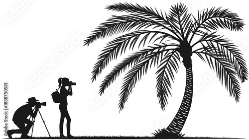 Silhouette of Photographers Capturing a Palm Tree.