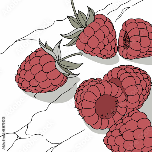 Several Ripe Raspberries in a Stylized Illustration