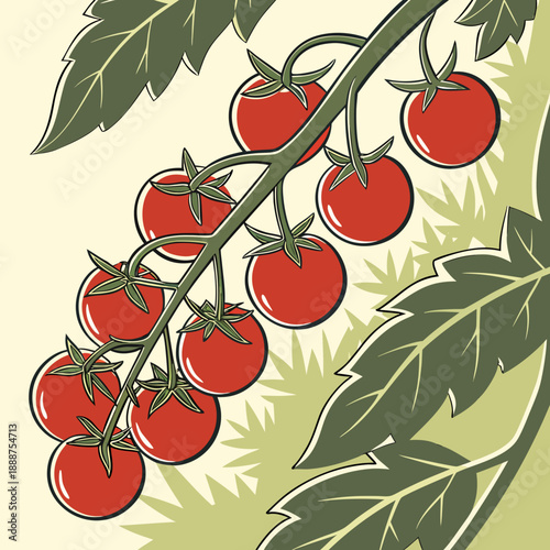 Ripe Red Cherry Tomatoes Clustered on Vine