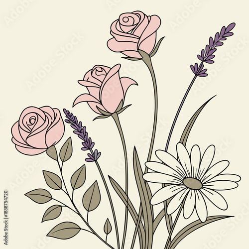 Soft Pink Roses Lavender and Daisy Botanical Illustration