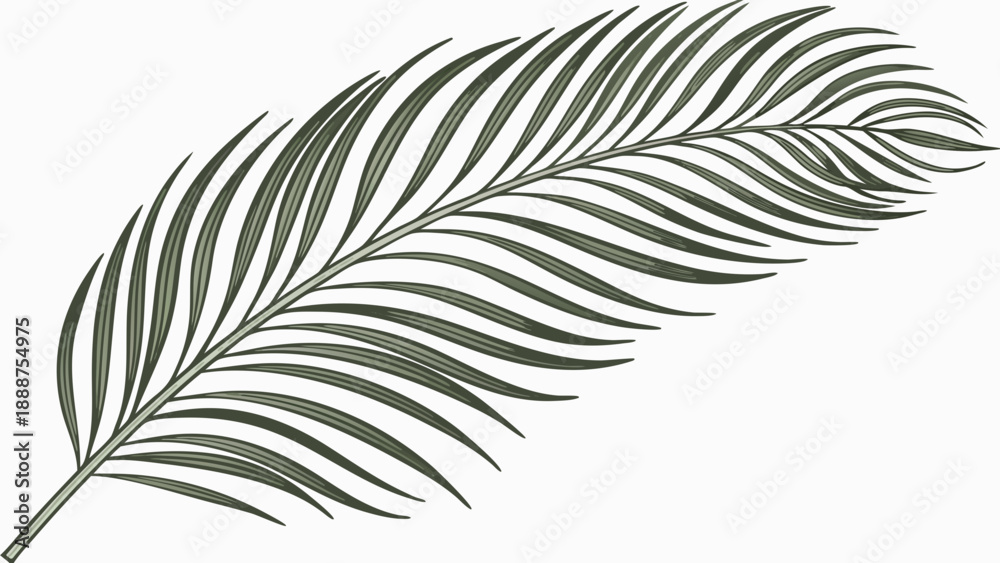 Fototapeta premium Elegant Palm Leaf Illustration A Tropical Botanical Design 2.