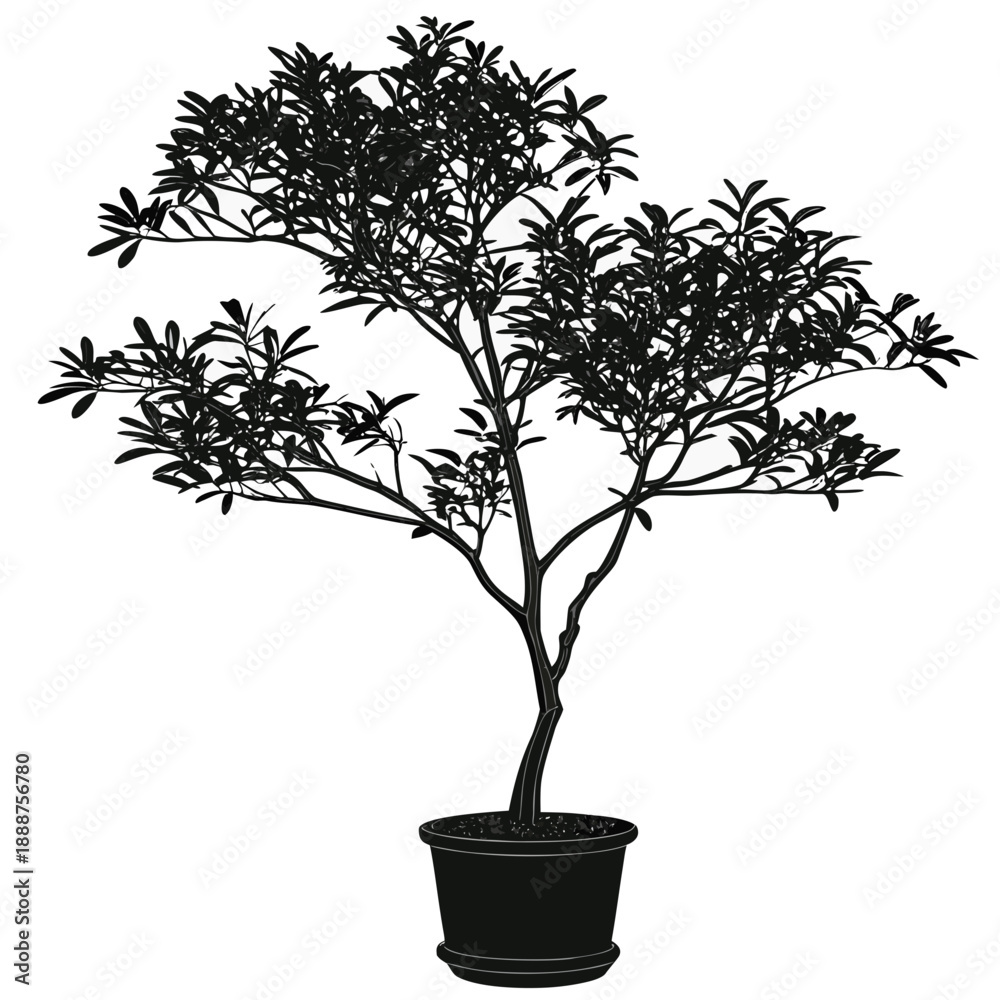 Obraz premium Silhouette of a Potted Tree with Dense Foliage.