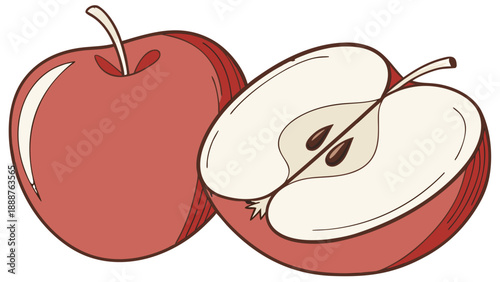 Fresh Apple Fruit Illustration Cut in Half