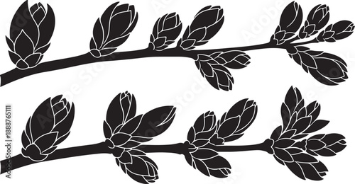 Black and white illustration of blooming tree branches
