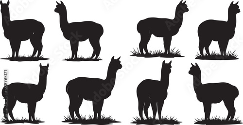 Black Silhouettes of Llamas in Various Poses on Grass