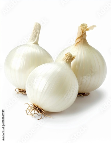 Wallpaper Mural Zwiebel weiß isoliert Torontodigital.ca