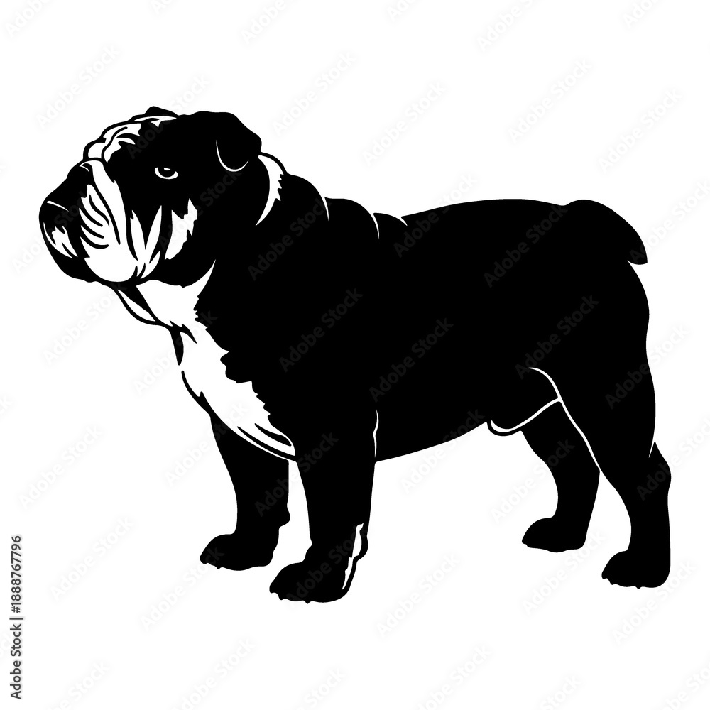 Obraz premium Bull dog silhouette vector isolated on white background