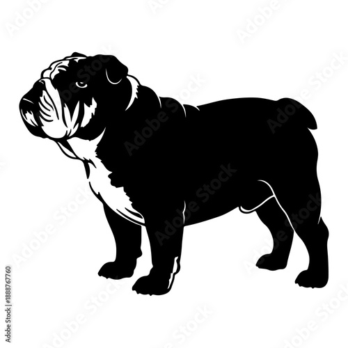 Bull dog silhouette vector isolated on white background