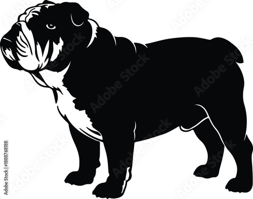 Bull dog silhouette vector isolated on white background