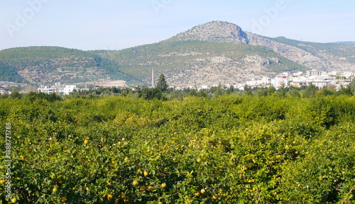 The architecture of the city of Silifke in Turkiye. Architecture of the Turkish city