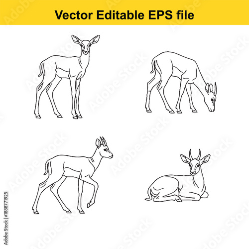  Deer illustrations in four different poses vector editable