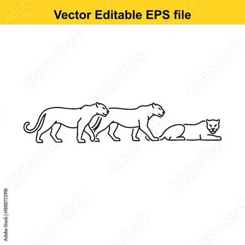  Evolution of domesticated cats from wild ancestors lineage