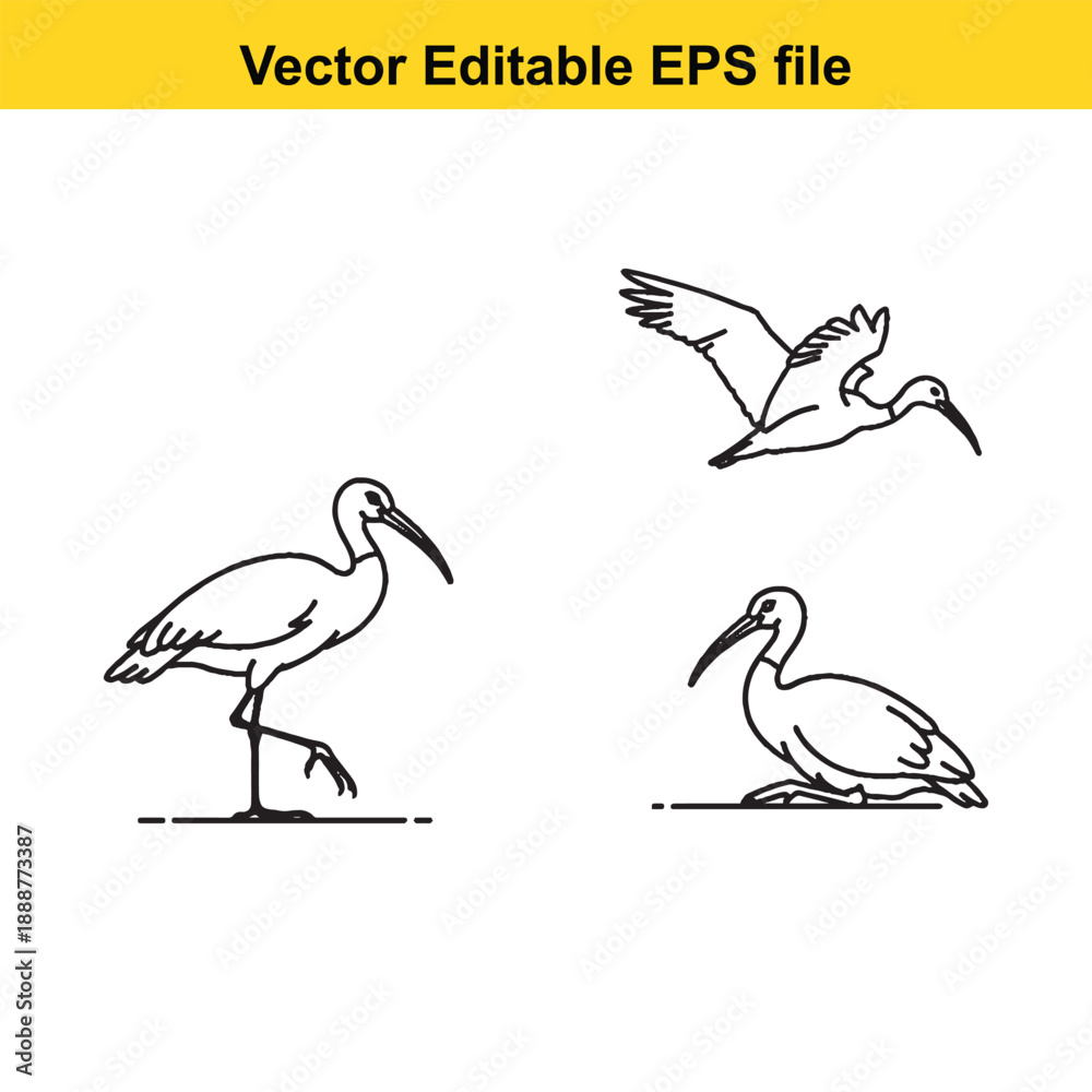Fototapeta premium Editable vector stork illustrations in eps format for design