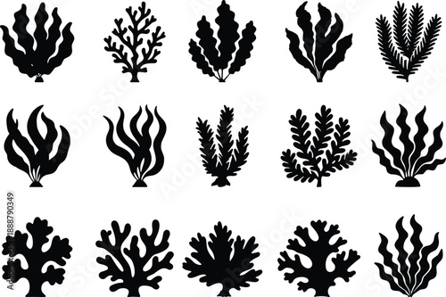 Seaweed silhouette collection, marine plant vector, black botanical illustration, underwater frond shapes, ocean ecosystem diversity, nature design set, flavector