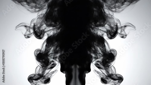 Ink plume forms in a Rorschach-like symmetrical inky shape on a pale grey background