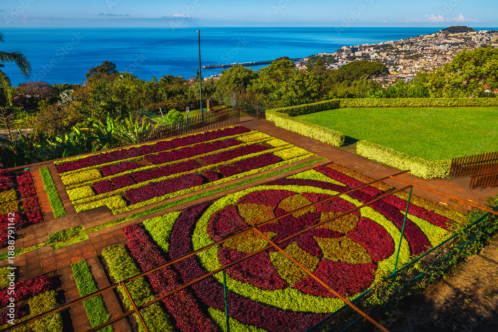 Naklejka premium Botanical Garden of Funchal with various flowers and flower beds
