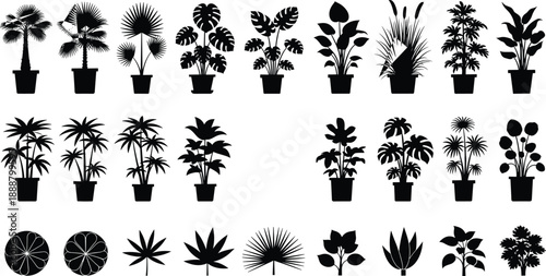 Large houseplant silhouettes collection, indoor potted plants vector set, tropical foliage botanical icons, minimalist garden greenery graphics, nature isolated 