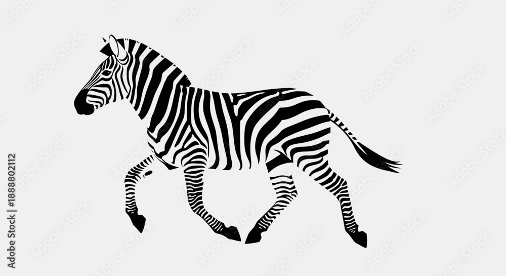 Fototapeta premium Black and white illustration of a running zebra on a white background.