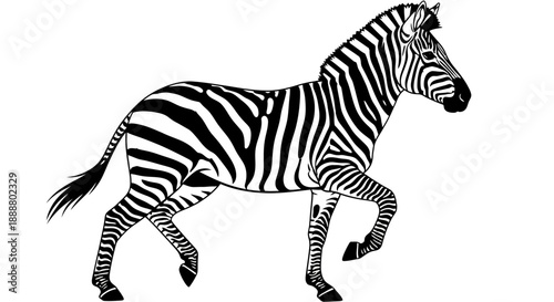 Black and white illustration of a zebra running.
