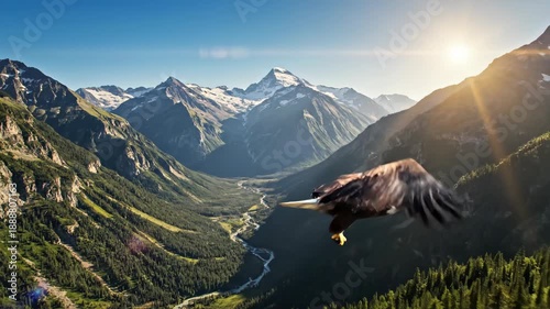 Bird soaring over expansive mountainous valley wilderness at sunrise