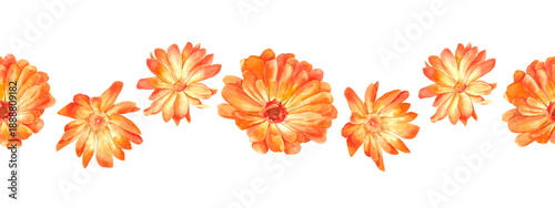 Fotografía Watercolor border with vibrant orange Calendula flowers
