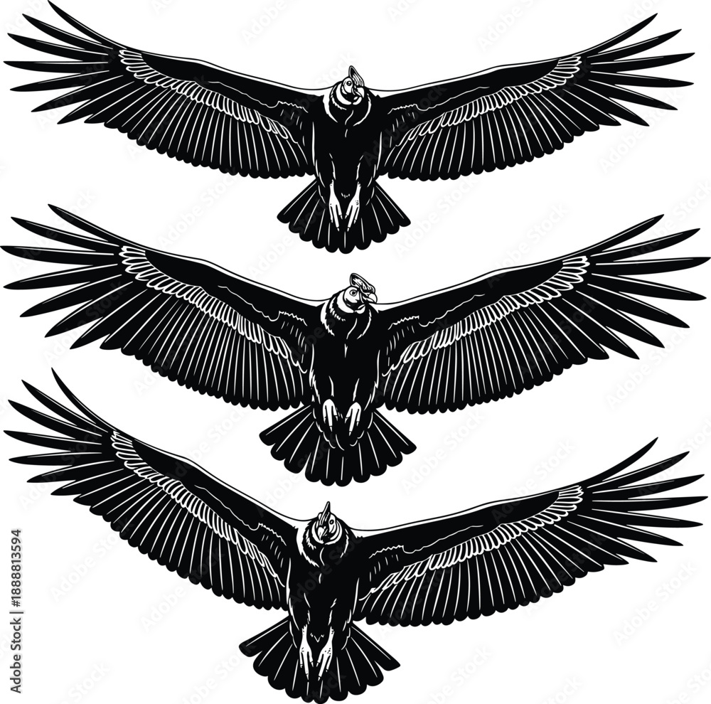 Fototapeta premium Black raven birds with wings spread in flight silhouette illustration set, dramatic flying crow vector design isolated on white background