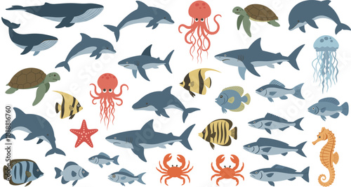 Colorful Marine Animals Vector Set with Whales Dolphins Sharks Fish Octopus Crab Turtle and Sea Creatures for Kids Education and Ocean Designs