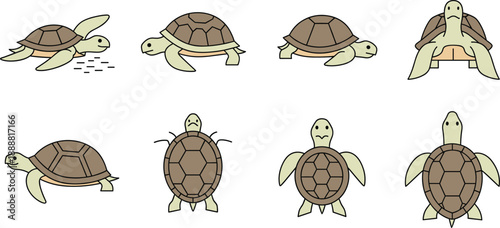 Cute Sea Turtle Character Illustration Set Showing Multiple Views and Poses (Swimming, Front, Back, Top) in Simple Cartoon Style for Education, Stickers, and Vector Design