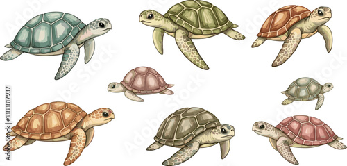 Sea Turtle Illustration Set Featuring Realistic Marine Turtles in Different Sizes and Swimming Poses for Ocean Wildlife Education and Detailed Vector Design