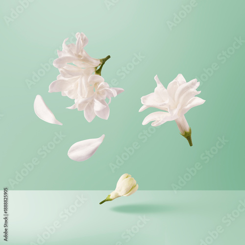 Creative art collage of flying white lilac flowers and petals isolated on green background. Concept of spring nature, organic beauty, floral perfume aroma and bio skincare.
