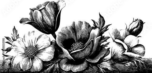 Vintage heraldic escutcheon with botanical motif - 19th century engraving design for decorative use