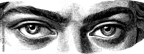 Vintage botanical illustration of anonymous portrait focused on eyes and gaze