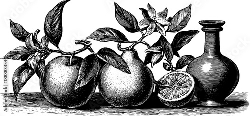 Vintage botanical still life with fruit and vase - antique interior design element