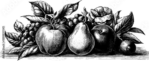 Vintage botanical still life composition featuring fruits and flowers for retro design