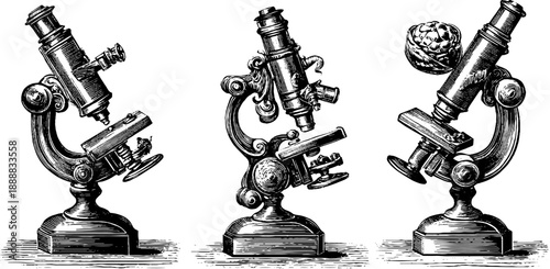 Antique microscope illustrations featuring vintage botanical scientific instruments