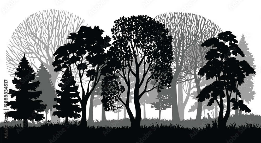 Fototapeta premium Silhouettes of Bare Trees and Fir Trees in Autumn Park Forest, Vector Illustration of Woodland Landscape, Seasonal Nature Silhouette Design