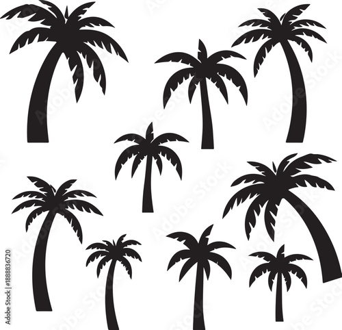  set of palm trees, palm, tree, tropical, vector, silhouette, beach, nature, leaf, illustration, summer, coconut, palm tree, island, plant, design, travel, pattern, sea, sun, palms, branch, palmtree