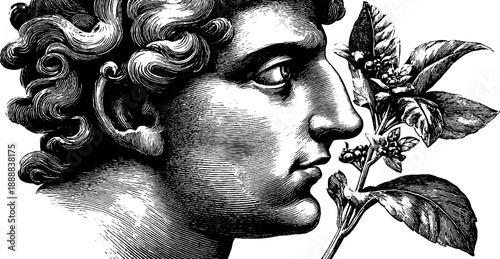 Classical bust with botanical elements in vintage hand-drawn style for art and design reference