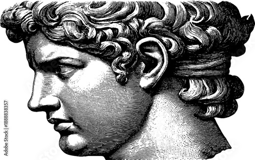 Classical bust in vintage style: botanical academic sketch for art reference