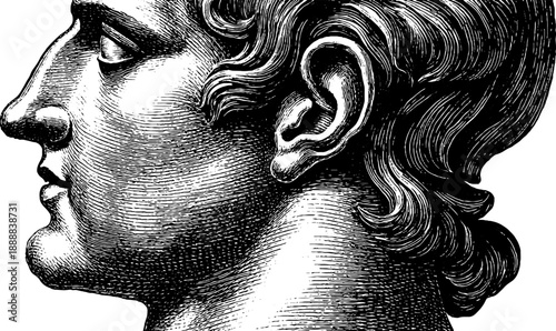 Classical bust with detailed ear and botanical elements in vintage engraving style for artistic and educational use