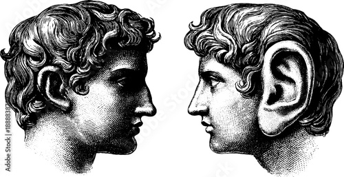 Classical bust with anatomical ear detail in vintage botanical engraving style