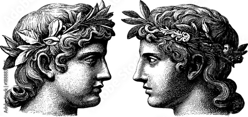 Classical bust with botanical accents: vintage engraving silhouette for design and decor