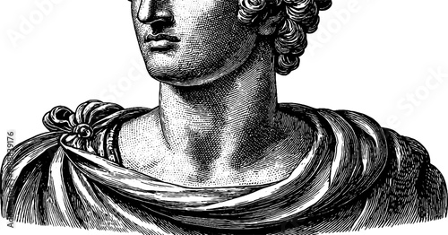 Classical bust study with botanical motif - neck and collarbone detail for artistic design