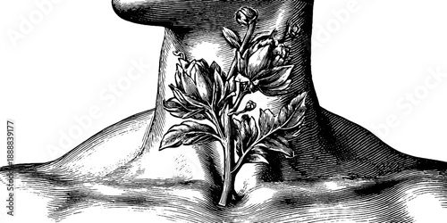 Classical bust study with botanical elements and collarbone focus for artistic design