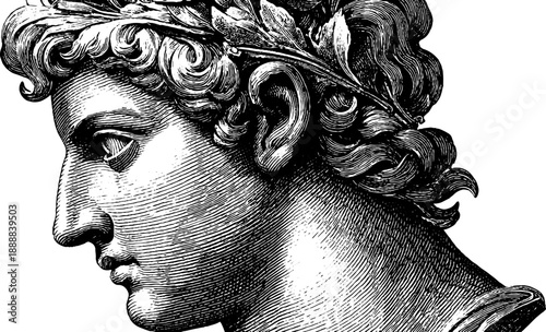 Classical bust restoration diagram in vintage botanical style - hand-drawn etching design